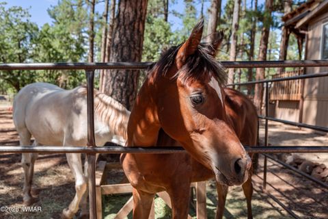 Tiny photo for 1659 Mormon Road, Happy Jack, AZ 86024 (MLS # 260171)