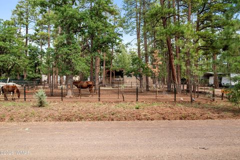 Tiny photo for 1659 Mormon Road, Happy Jack, AZ 86024 (MLS # 260171)