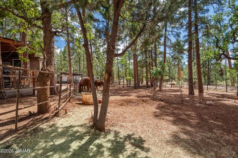Tiny photo for 1659 Mormon Road, Happy Jack, AZ 86024 (MLS # 260171)