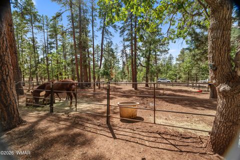 Tiny photo for 1659 Mormon Road, Happy Jack, AZ 86024 (MLS # 260171)