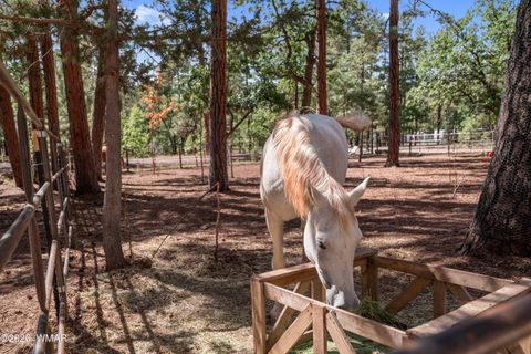 Tiny photo for 1659 Mormon Road, Happy Jack, AZ 86024 (MLS # 260171)