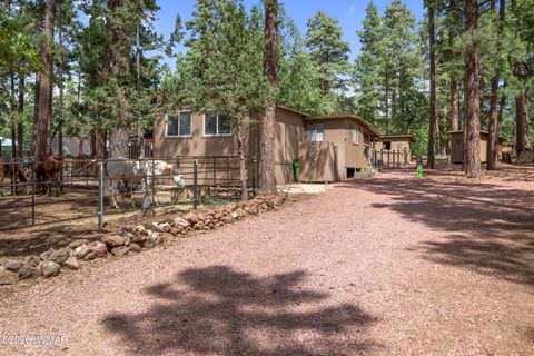 Photo of 1659 Mormon Road, Happy Jack, AZ 86024 (MLS # 260171)