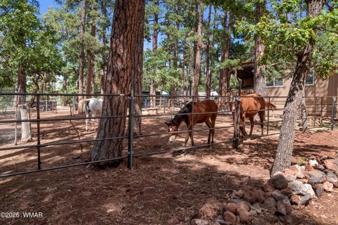 Tiny photo for 1659 Mormon Road, Happy Jack, AZ 86024 (MLS # 260171)