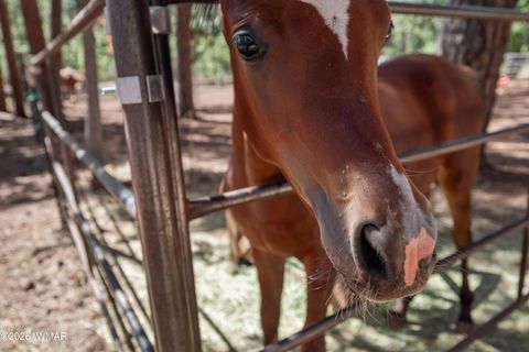 Tiny photo for 1659 Mormon Road, Happy Jack, AZ 86024 (MLS # 260171)