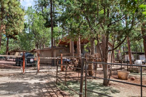 Tiny photo for 1659 Mormon Road, Happy Jack, AZ 86024 (MLS # 260171)
