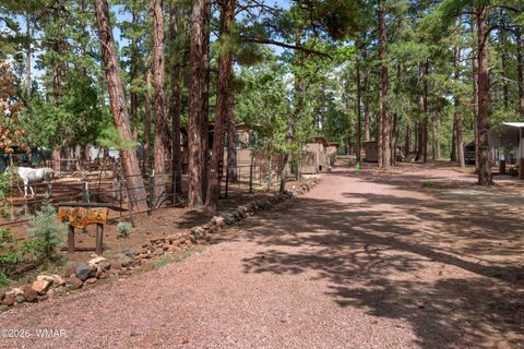 Tiny photo for 1659 Mormon Road, Happy Jack, AZ 86024 (MLS # 260171)