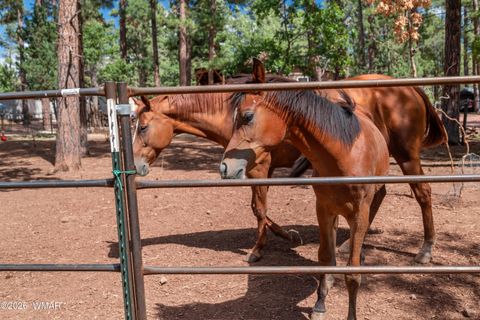 Tiny photo for 1659 Mormon Road, Happy Jack, AZ 86024 (MLS # 260171)