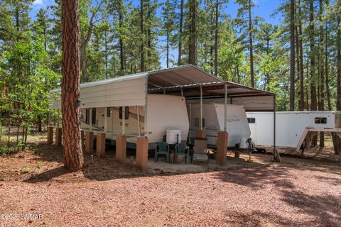 Tiny photo for 1659 Mormon Road, Happy Jack, AZ 86024 (MLS # 260171)