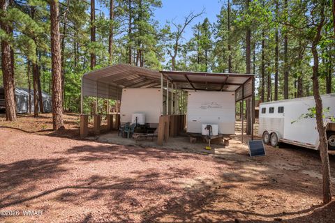 Tiny photo for 1659 Mormon Road, Happy Jack, AZ 86024 (MLS # 260171)
