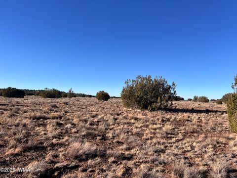 Tiny photo for 14 N3111, Vernon, AZ 85940 (MLS # 258957)