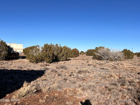 Tiny photo for 14 N3111, Vernon, AZ 85940 (MLS # 258957)