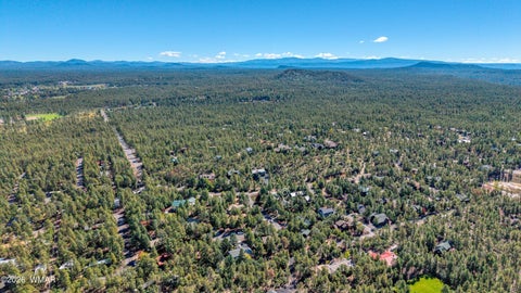 Tiny photo for 727 Pine Branch Lane, Pinetop, AZ 85935 (MLS # 263413)