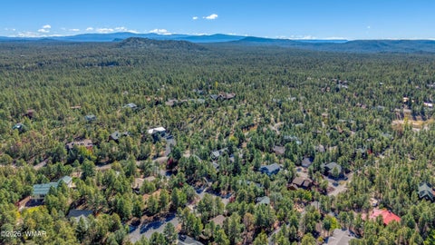 Tiny photo for 727 Pine Branch Lane, Pinetop, AZ 85935 (MLS # 263413)