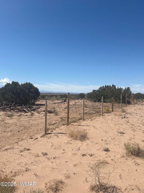 Tiny photo for 102 County Road N 6287, Saint Johns, AZ 85936 (MLS # 258049)