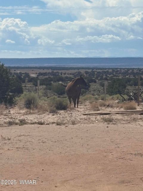 Tiny photo for 102 County Road N 6287, Saint Johns, AZ 85936 (MLS # 258049)