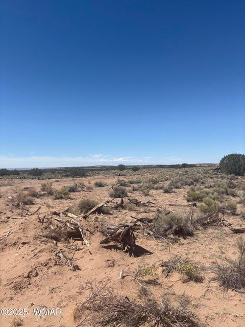 Tiny photo for 102 County Road N 6287, Saint Johns, AZ 85936 (MLS # 258049)