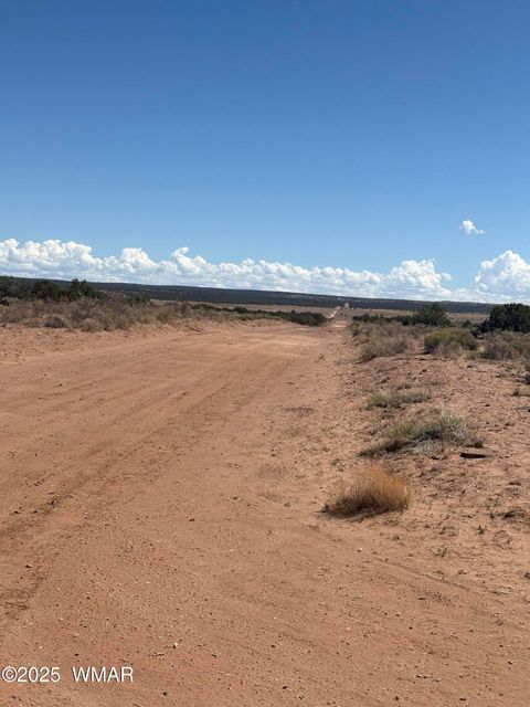 Tiny photo for 102 County Road N 6287, Saint Johns, AZ 85936 (MLS # 258049)