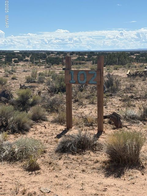 Photo of 102 County Road N 6287, Saint Johns, AZ 85936 (MLS # 258049)