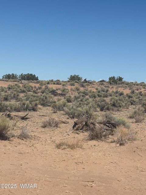 Tiny photo for 102 County Road N 6287, Saint Johns, AZ 85936 (MLS # 258049)