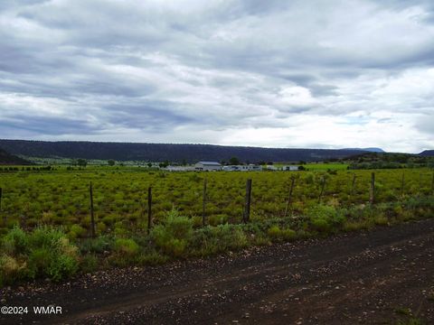 Tiny photo for TBD US-60, Springerville, AZ 85938 (MLS # 253840)