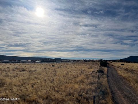 Tiny photo for TBD US-60, Springerville, AZ 85938 (MLS # 253840)