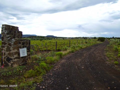 Tiny photo for TBD US-60, Springerville, AZ 85938 (MLS # 253840)