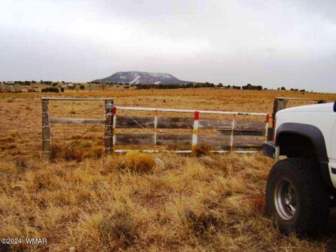 Tiny photo for TBD US-60, Springerville, AZ 85938 (MLS # 253840)