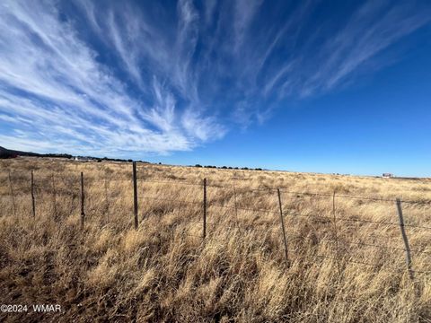 Tiny photo for TBD US-60, Springerville, AZ 85938 (MLS # 253840)