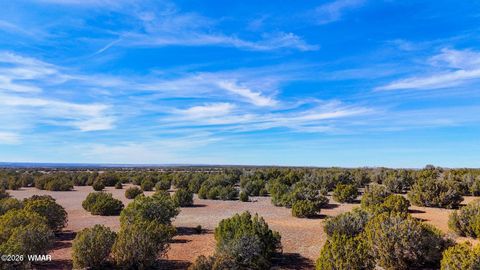 Tiny photo for 9023 Appaloosa Trail Lot E 10 Acres Trl, Show Low, AZ 85901 (MLS # 260458)