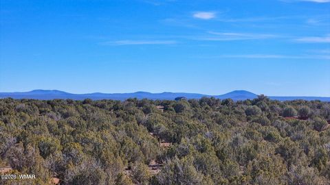 Tiny photo for 9023 Appaloosa Trail Lot E 10 Acres Trl, Show Low, AZ 85901 (MLS # 260458)
