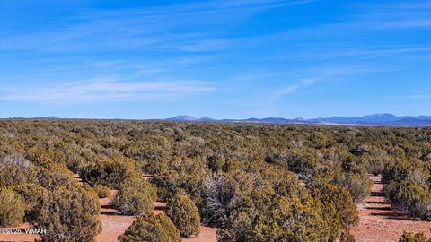 Tiny photo for 9023 Appaloosa Trail Lot E 10 Acres Trl, Show Low, AZ 85901 (MLS # 260458)