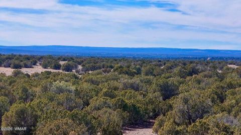 Photo of 9023 Appaloosa Trail Lot E 10 Acres Trl, Show Low, AZ 85901 (MLS # 260458)
