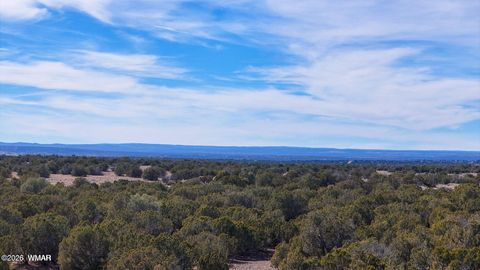 Tiny photo for 9023 Appaloosa Trail Lot E 10 Acres Trl, Show Low, AZ 85901 (MLS # 260458)