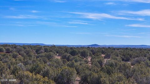 Tiny photo for 9023 Appaloosa Trail Lot E 10 Acres Trl, Show Low, AZ 85901 (MLS # 260458)