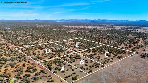 Photo of 9023 Appaloosa Trail Lot E 10 Acres Trl, Show Low, AZ 85901 (MLS # 260458)
