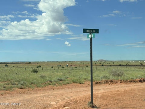 Tiny photo for 8017 Johnson Hill Trail, Snowflake, AZ 85937 (MLS # 263106)