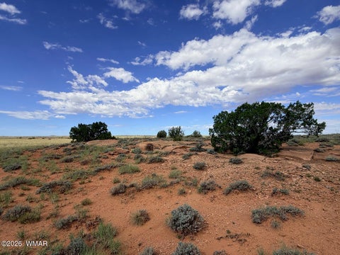 Tiny photo for 8017 Johnson Hill Trail, Snowflake, AZ 85937 (MLS # 263106)