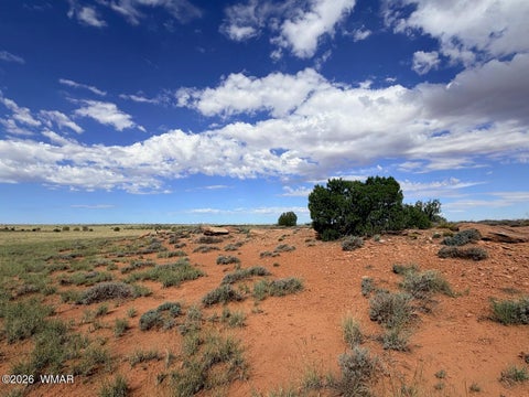 Tiny photo for 8017 Johnson Hill Trail, Snowflake, AZ 85937 (MLS # 263106)