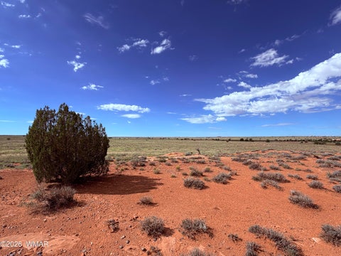 Tiny photo for 8017 Johnson Hill Trail, Snowflake, AZ 85937 (MLS # 263106)