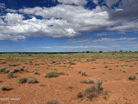 Tiny photo for 8017 Johnson Hill Trail, Snowflake, AZ 85937 (MLS # 263106)