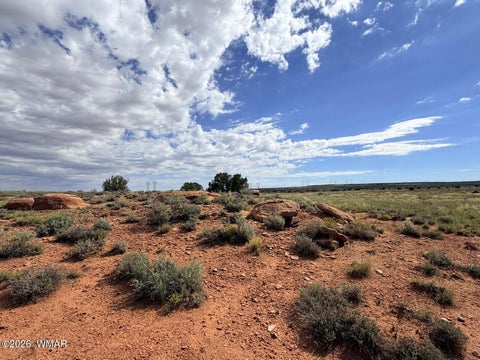 Tiny photo for 8017 Johnson Hill Trail, Snowflake, AZ 85937 (MLS # 263106)