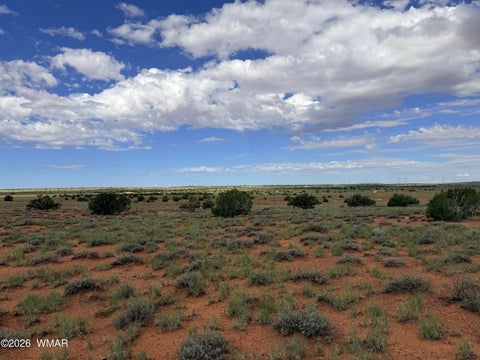 Tiny photo for 8017 Johnson Hill Trail, Snowflake, AZ 85937 (MLS # 263106)
