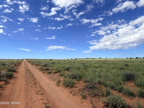 Tiny photo for 8017 Johnson Hill Trail, Snowflake, AZ 85937 (MLS # 263106)