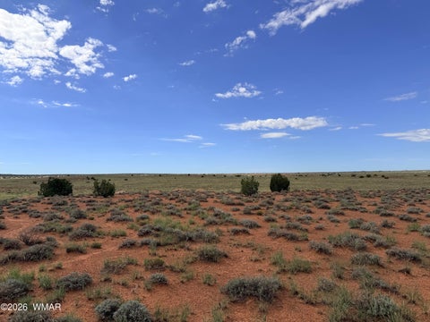 Tiny photo for 8017 Johnson Hill Trail, Snowflake, AZ 85937 (MLS # 263106)