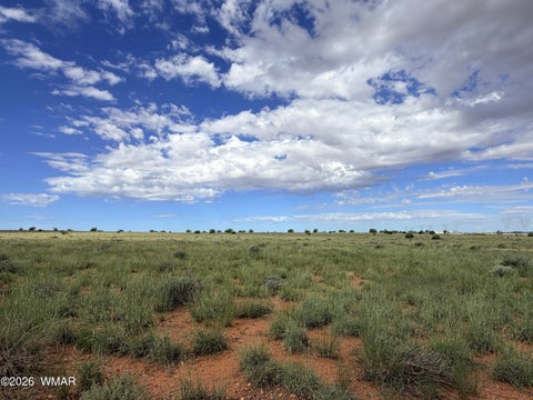 Tiny photo for 8017 Johnson Hill Trail, Snowflake, AZ 85937 (MLS # 263106)