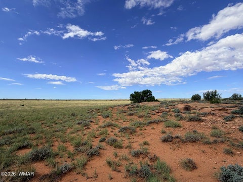 Tiny photo for 8017 Johnson Hill Trail, Snowflake, AZ 85937 (MLS # 263106)