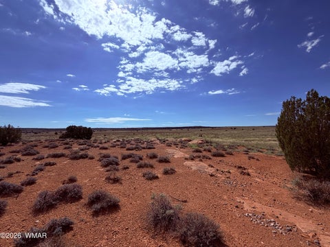 Tiny photo for 8017 Johnson Hill Trail, Snowflake, AZ 85937 (MLS # 263106)