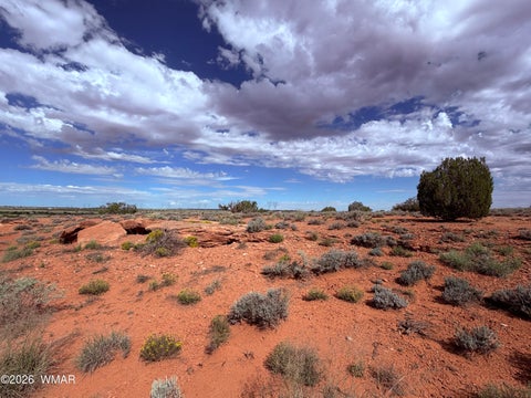 Tiny photo for 8017 Johnson Hill Trail, Snowflake, AZ 85937 (MLS # 263106)