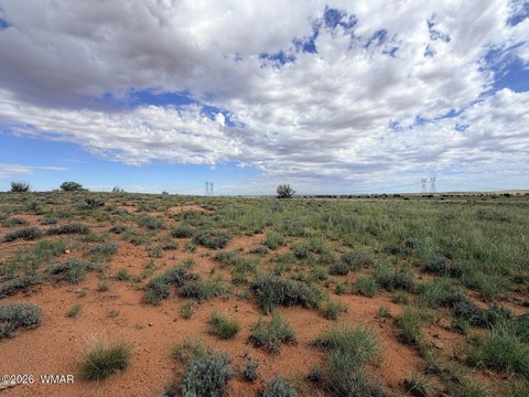 Tiny photo for 8017 Johnson Hill Trail, Snowflake, AZ 85937 (MLS # 263106)
