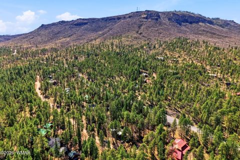 Tiny photo for 39 2066, Alpine, AZ 85920 (MLS # 260208)